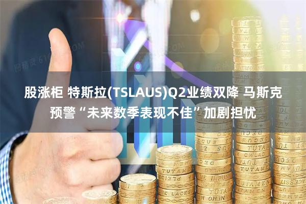 股涨柜 特斯拉(TSLAUS)Q2业绩双降 马斯克预警“未来数季表现不佳”加剧担忧