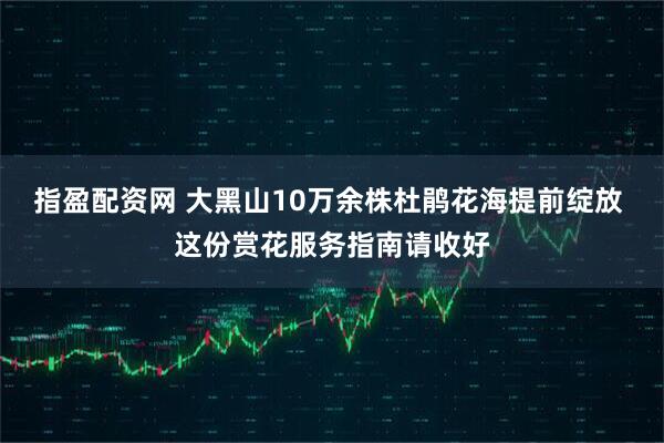 指盈配资网 大黑山10万余株杜鹃花海提前绽放 这份赏花服务指南请收好